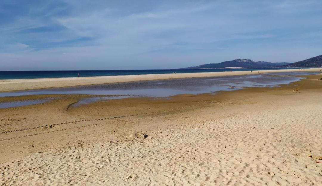Lances Playa Apartman Tarifa Kültér fotó